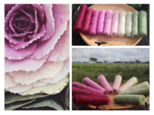 Bonny Brassicas gradient midnight_falls_1.jpg