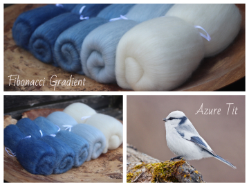 Azure Tit - Fibonacci Gradient set 130g Azure Tit - Fibonacci Gradient set 130g
