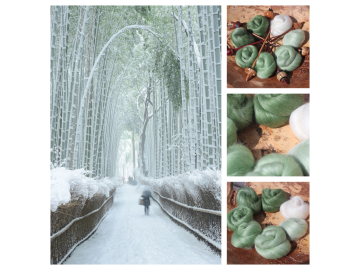 Bamboo Forest Gradient Batt Set - 100g