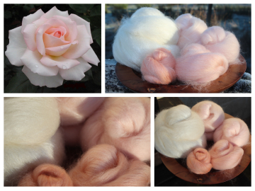 Bloom of Ruth - 130g Fibonacci Gradient Batt set. Bloom of Ruth - 130g Fibonacci Gradient Batt set.
