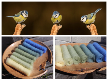 Blue Tit Gradient Batt Set