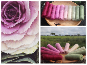 Bonny Brassica's Gradient Batt Set - 150g