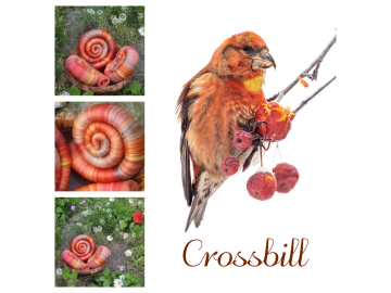 Crossbill rolags - 100g