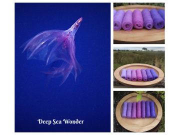 Deep Sea Wonder Gradient Batt Set -100g