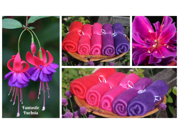 Fantastic Fuchsia gradient batt set