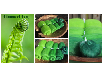 Fibonacci Fern - 130g