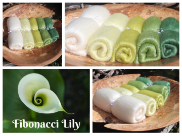 Fibonacci Lily - 130g