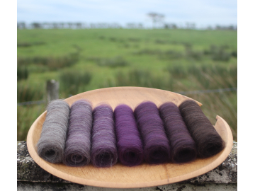 Spooky Shetland Gradient Batt Set - 100g