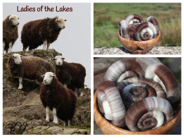 Ladies of the Lakes Rolags - 100g