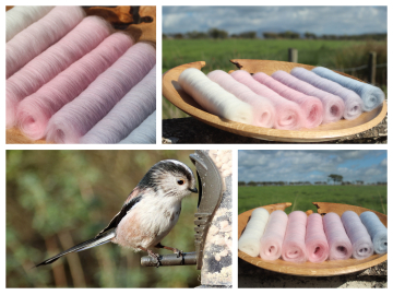 Longtailed Tit Gradient Batt Set