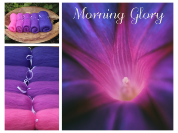 Morning Glory Fibonacci Gradient - 130g Morning Glory Fibonacci Gradient - 130g