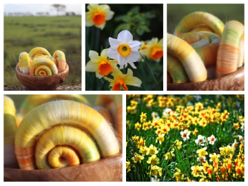 Narcissus Rolags - 100g