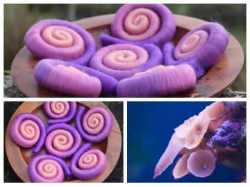 Reef Builder Gradient Rolags - 100g