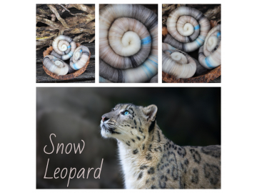 Snow Leopard rolags - 100g