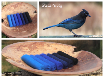 Steller's Jay Gradient Batt Set