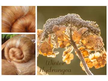 Winter Hydrangea Batts - 100g
