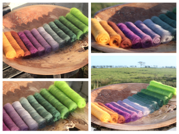 WitchHazel - Gradient Batt Set 195g