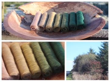 Year's End Gradient Batt Set - 100g