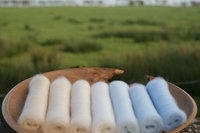 Winter Wonderland Gradient Batt Set - 100g