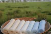 Winter Wonderland Gradient Batt Set - 100g