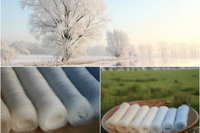 Winter Wonderland Gradient Batt Set - 100g