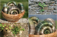 Old Stone Wall Revisited - 100g