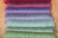 Painted Parakeet Gradient Batt Set - 100g