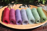 Painted Parakeet Gradient Batt Set - 100g