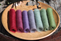 Painted Parakeet Gradient Batt Set - 100g