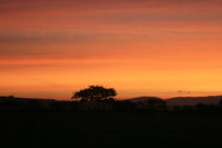 Red Sky in the Morning Gradient Set - 100g