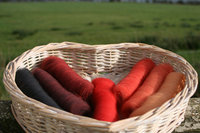 Burning Embers Gradient Batt Set - 100g