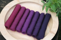 Gothic Revival Gradient Batt Set - 100g