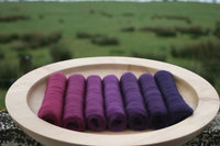 Gothic Revival Gradient Batt Set - 100g