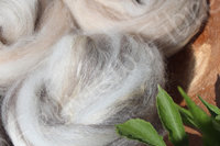 Angua - Handpulled Roving - 100g