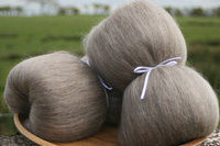 Masham / Baby llama / Honey Tussah Silk Smooth Batts - 135g