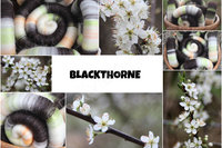 Blackthorne Rolags - 100g
