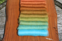 Pretty Penny XL Gradient Batt Set - 150g