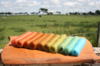 Pretty Penny XL Gradient Batt Set - 150g