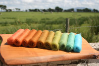 Pretty Penny XL Gradient Batt Set - 150g