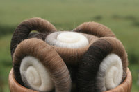 4 Shades of Shetland Rolags / Punis - 100g