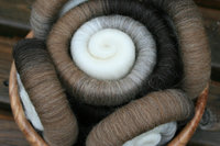 4 Shades of Shetland Rolags / Punis - 100g