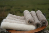 Gentle Shetland Gradient Batt Set - 100g