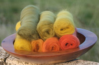 Turning Leaves Gradient Batt Set