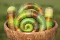 Bursting Buds Rolags / Punis - 100g