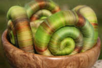 Bursting Buds Rolags / Punis - 100g