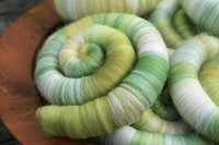 Spring Awakenings Rolags / Punis - 100g