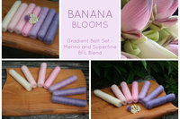 Banana Blooms Gradient Batt Set - 100g