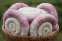 Gentle Magnolia Rolags / Punis - 100g - Polwarth: Silk base
