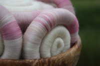 Gentle Magnolia Rolags / Punis - 100g - Polwarth: Silk base