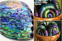 Abalone Rolags - 100g